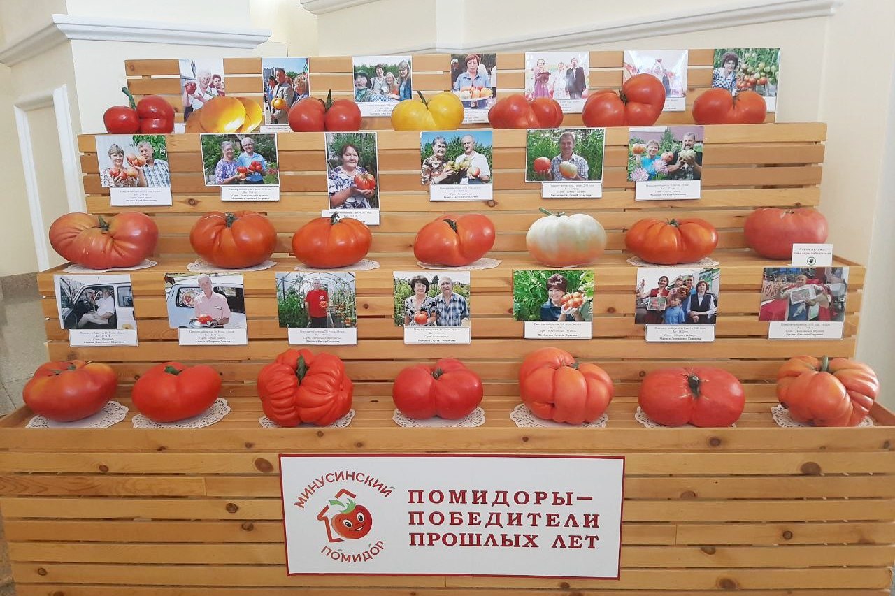 СКОРО: ДЕНЬ МИНУСИНСКОГО ПОМИДОРА