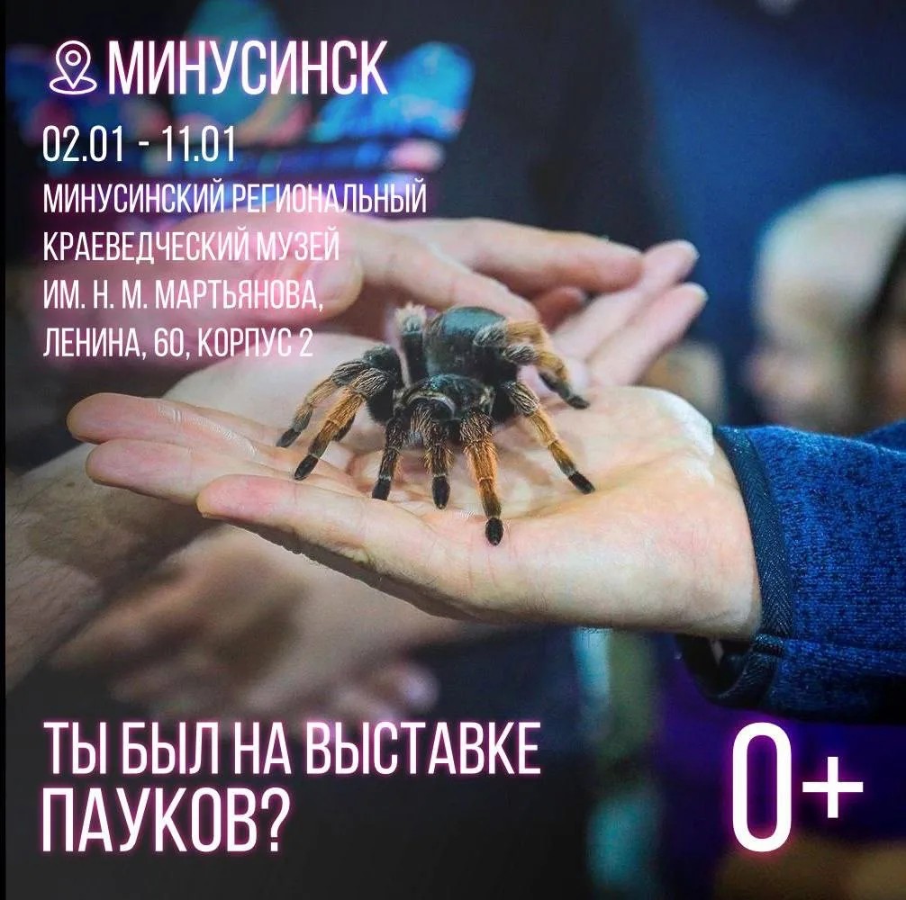 ВЫСТАВКА ПАУКОВ-ПТИЦЕЕДОВ В МУЗЕЕ